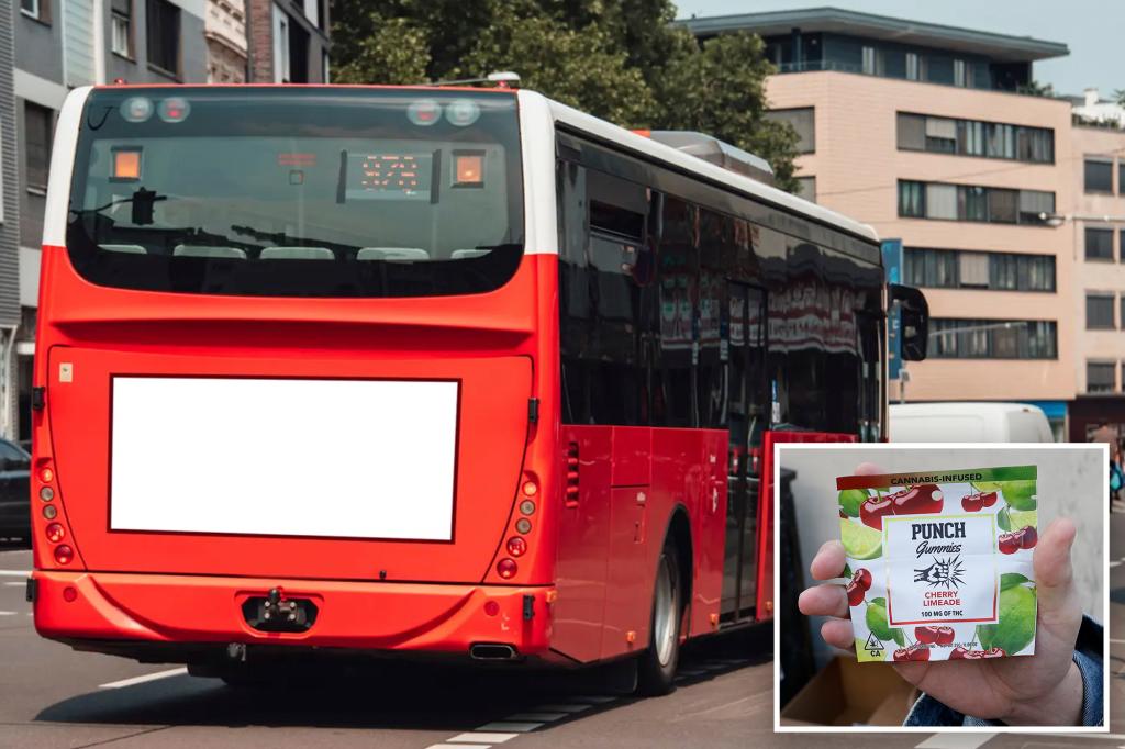 Bus Driver Who Passed Out Behind the Wheel Due to Marijuana Gummies Gets Probation