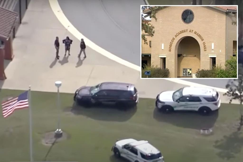 Florida boy makes fake threat from school shooter so he can 'go home early': police