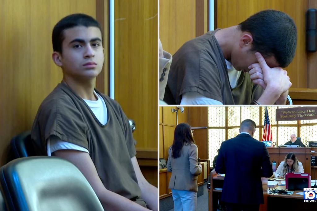 Florida teen who allegedly killed her sleeping mother by stabbing her 46 times is detained as an adult after chilling confession presented in court