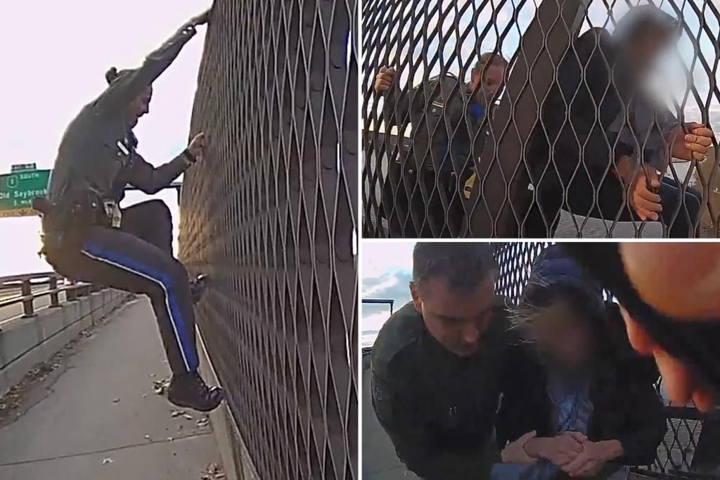 Gripping video shows moment Connecticut police officers stop woman from jumping off 100-foot bridge