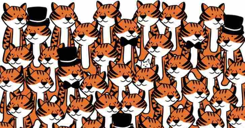 Intelligence test with optical illusion: find the hidden cats in 9 seconds and show that you have hawk eyes