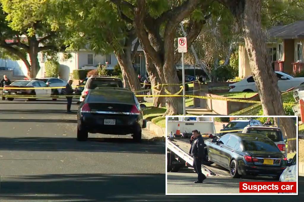 Los Angeles homeowner shoots and kills suspect during attempted robbery as horrified child and grandmother watch