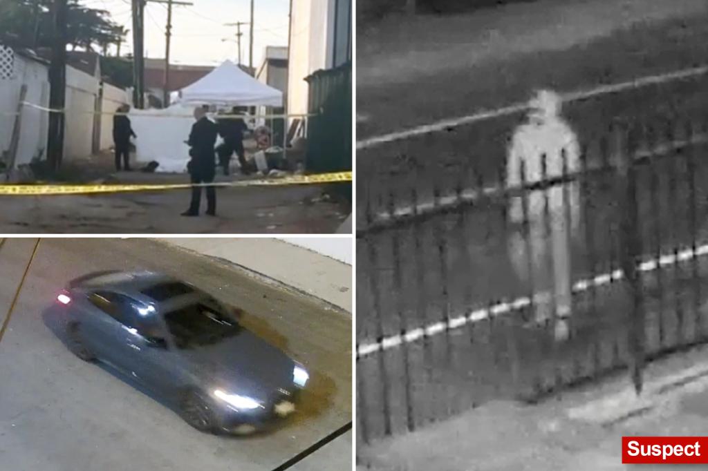 Los Angeles 'serial killer' suspected of killing three homeless people in four-day spree: 'Don't sleep alone tonight'