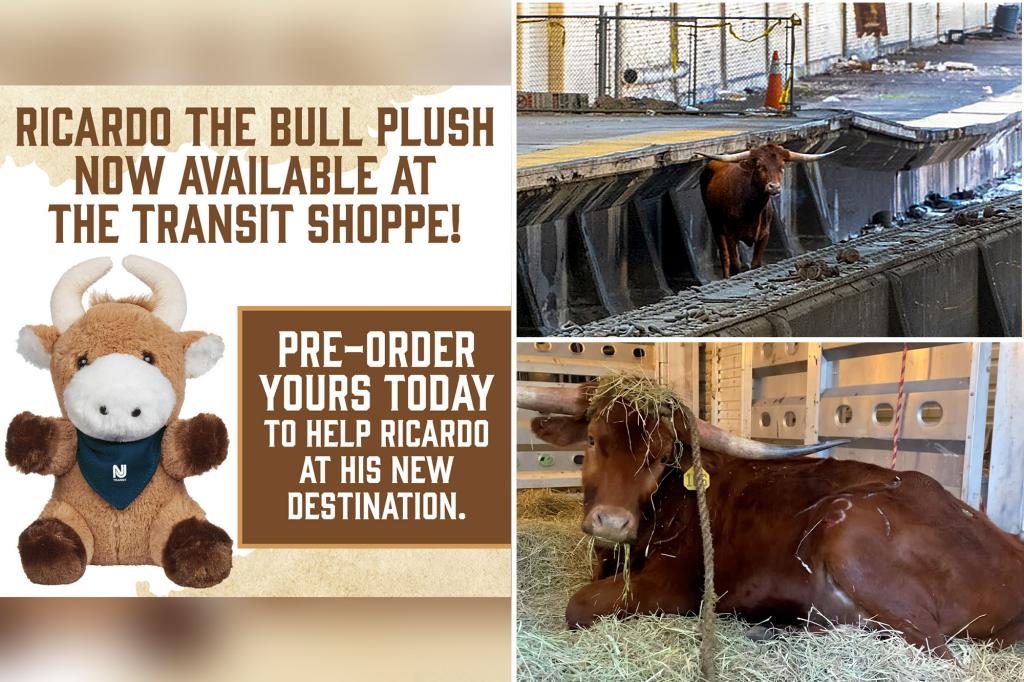 New Jersey Transit Sells 'Ricardo the Bull' Plush Toy After Escaped Animal Stops Trains