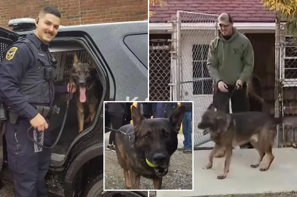 Ohio police officer reunited with K-9 partner after city agrees to $16K settlement amid property battle: 'Happy to have our family back'