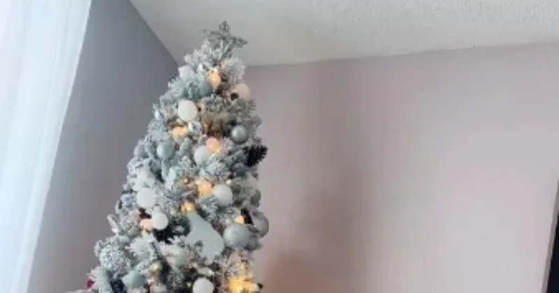 Optical illusion: discover the cat hiding in the Christmas tree before the ball falls