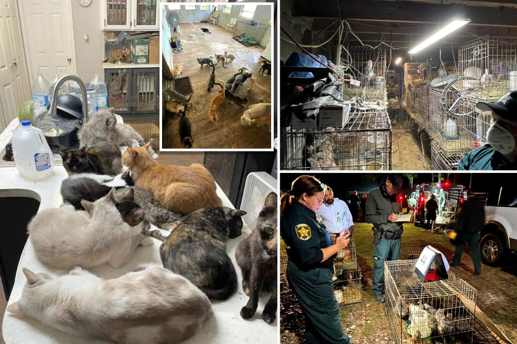 'Overwhelmed' 75-year-old Florida woman arrested after 309 animals seized from mobile home with 'lethal' levels of ammonia inside