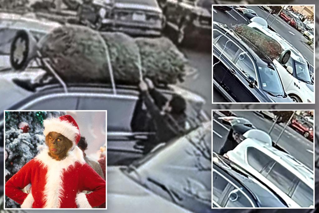 Real-life Grinch steals California family's Christmas tree that was tied to car