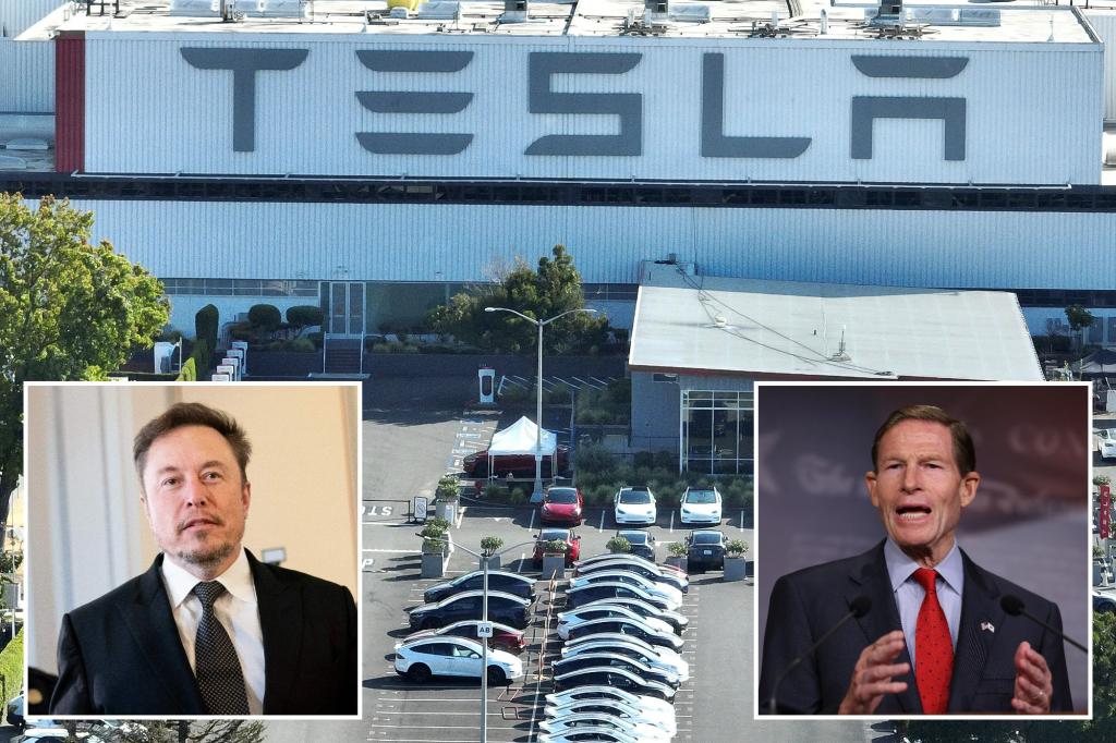 Senators demand Tesla recalls for defective parts, criticize Elon Musk for blaming customers