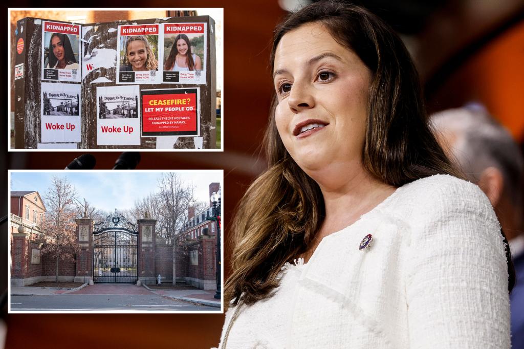 Stefanik criticizes Harvard professor who suggests school doesn't need to cooperate with congressional investigations: 'Harvard is funded by billions of taxpayer dollars'