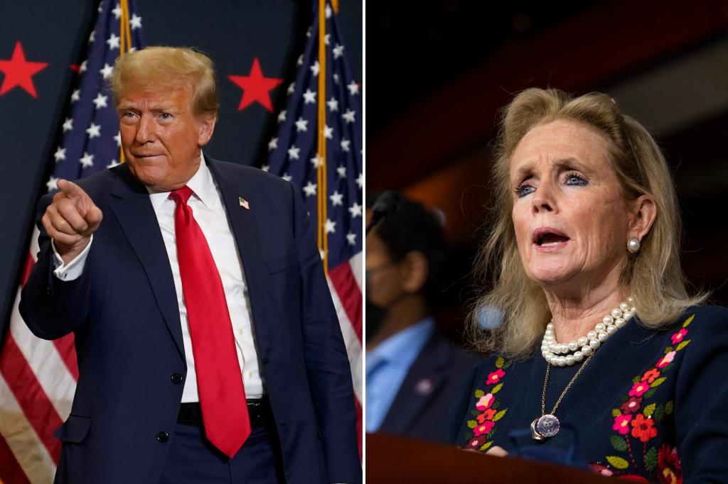 Trump slams 'losing' Rep. Debbie Dingell, claims she once called him 'crying almost uncontrollably' to thank him
