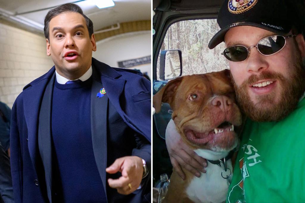 Veteran Who Claims George Santos Stole Thousands From Dying Dog's GoFundMe Said She's 'Smiling From Heaven' Over House Expulsion