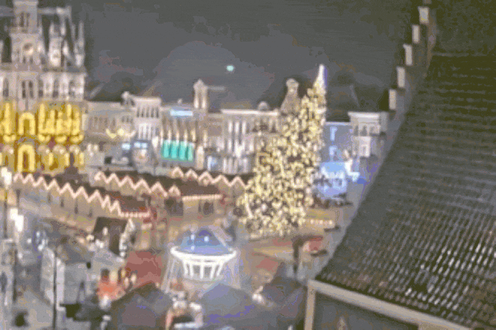 Woman dies after 20-meter Christmas tree falls in Belgian market square