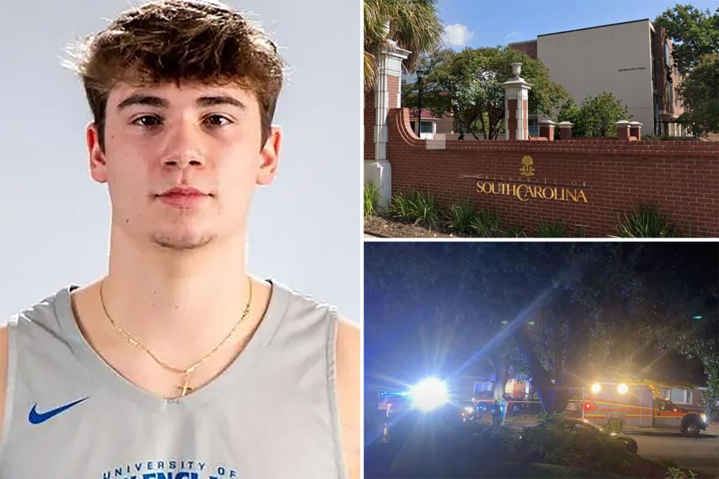 911 calls released in fatal shooting of South Carolina college student who mistakenly tried to enter wrong house: 'Please arrive quickly'