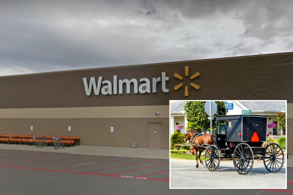 Amish family's horse and buggy parked outside Walmart stolen while shopping