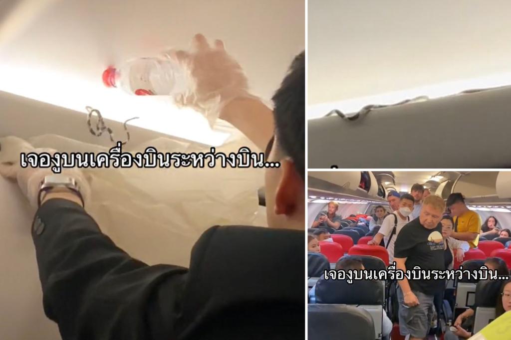 Chilling moment for passengers who discover live snake on AirAsia flight