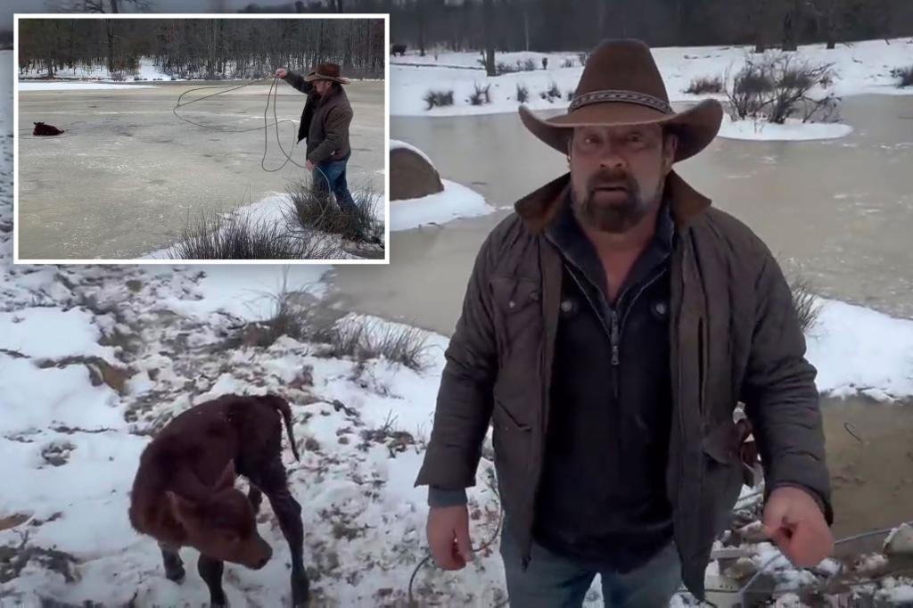 Cowboy rescues baby from neighbor's frozen pond with a lasso: video