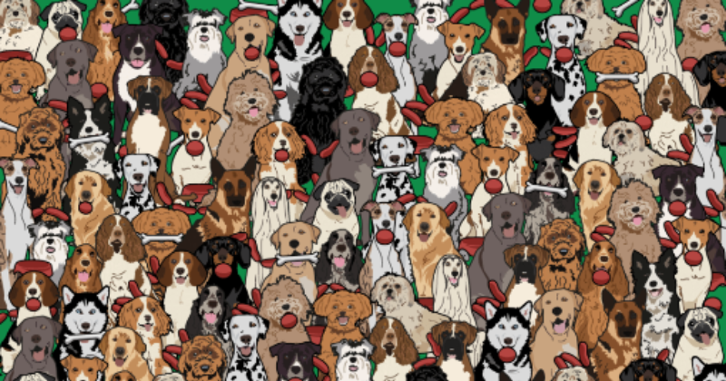 Find the sausage-loving dog with this optical illusion