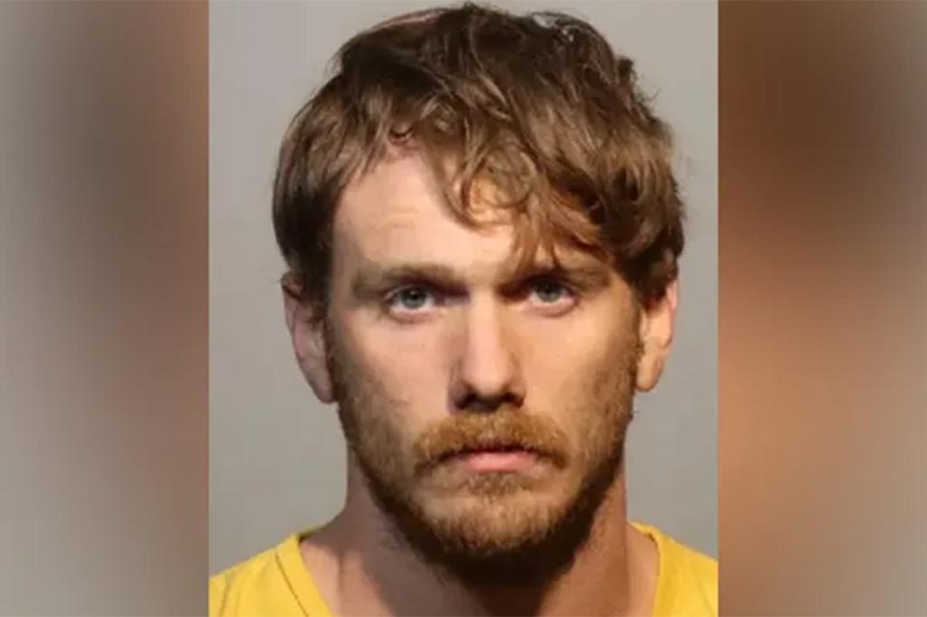 Florida man arrested for deliberately hitting deer and filming it for TikTok: police