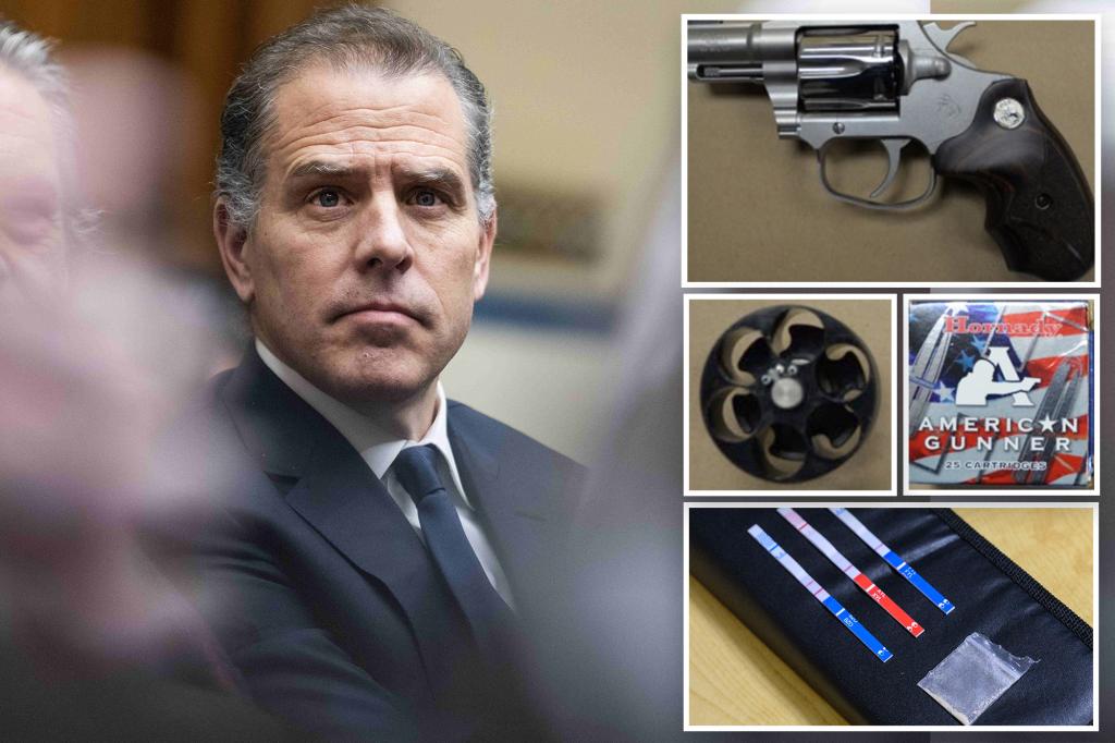 Hunter Biden's gun bag was tested for cocaine last year after his sister-in-law-turned-lover Hallie threw it in the trash in 2018: doctors