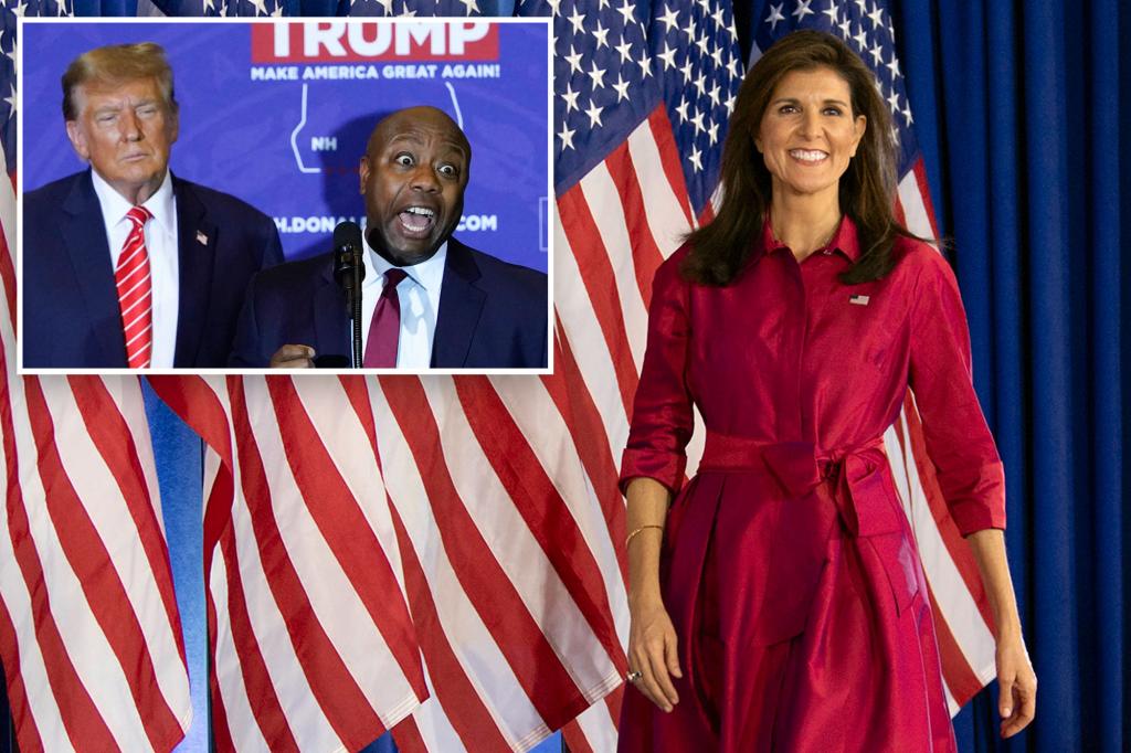 Nikki Haley ignores lack of support in South Carolina: 'One reason there's no love for me'
