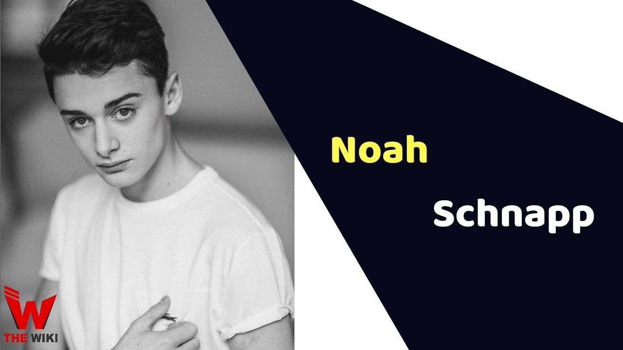 Noah Schnapp (Actor) Height, Weight, Age, Affairs, Biography & More
