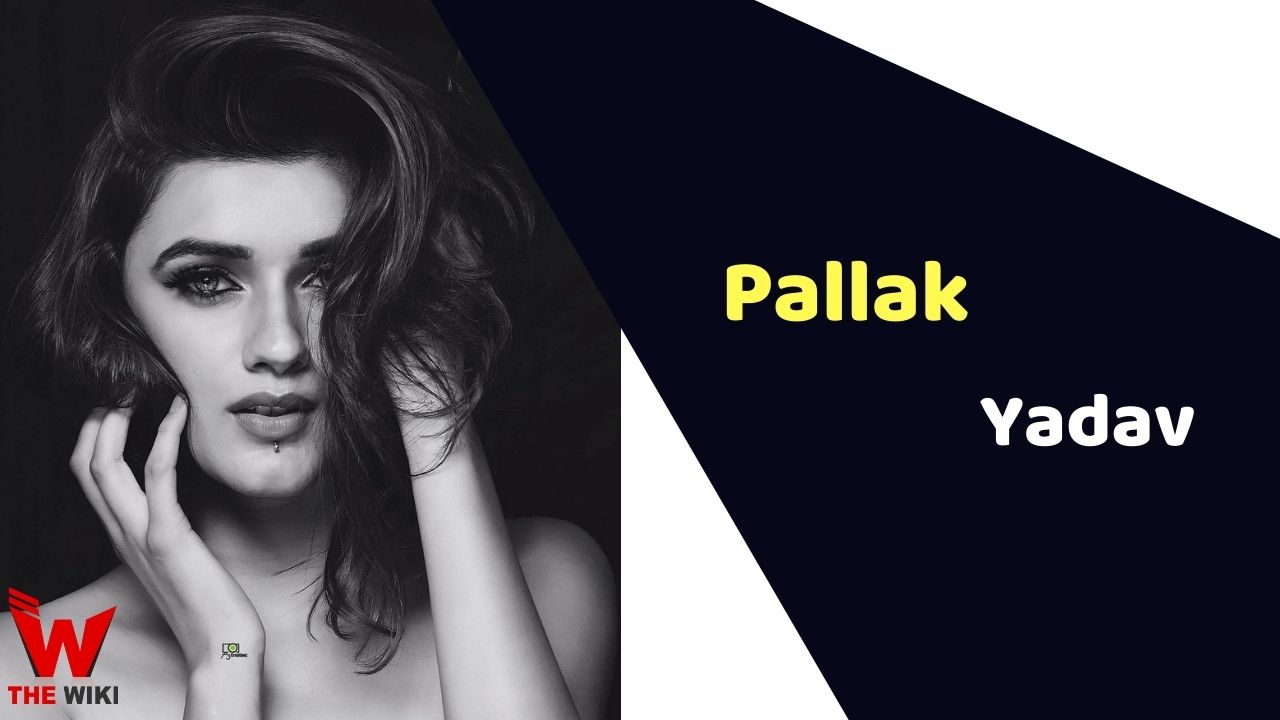 Pallak Yadav (Model) Height, Weight, Age, Affairs, Biography & More