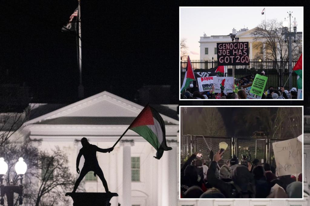 Pro-Palestinian protesters chant 'fk Joe Biden' and damage fence in front of the White House