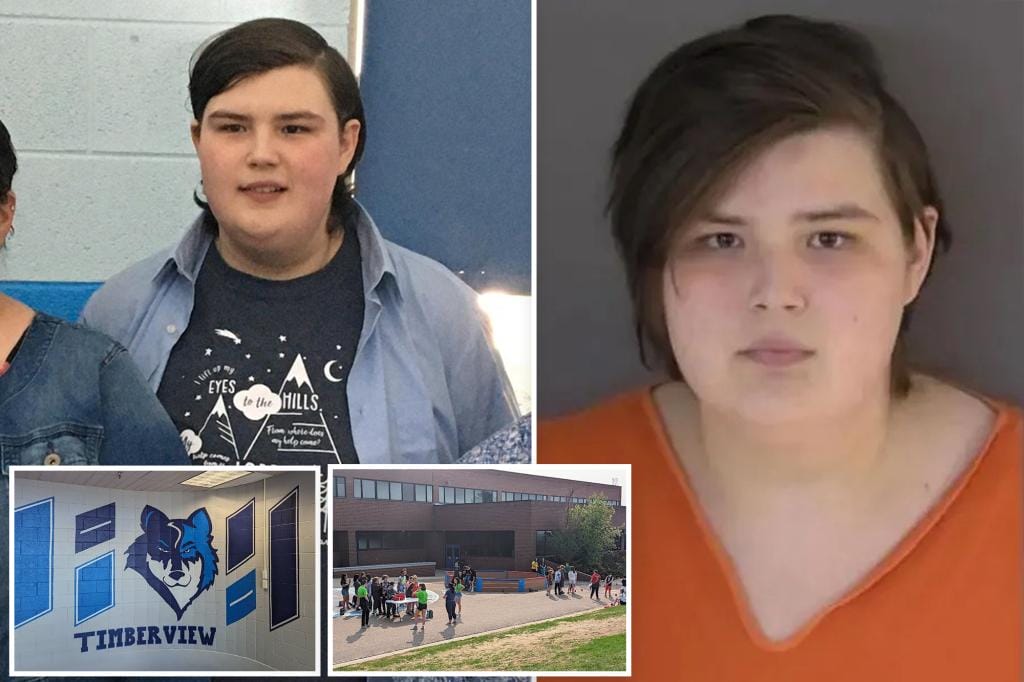 Trans Teen Who Planned Mass Schools, Church Shootings, Wrote Chilling Manifesto Sentenced to 6 Years