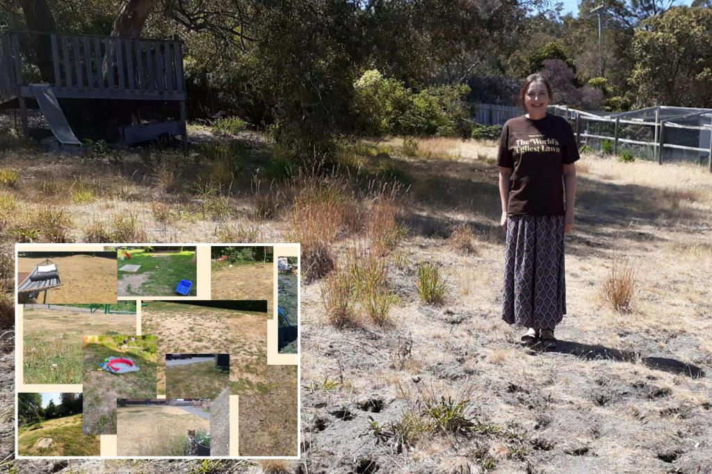 World's ugliest lawn contest crowns woman who says 'her ex-husband took off with the lawnmower in 2016'