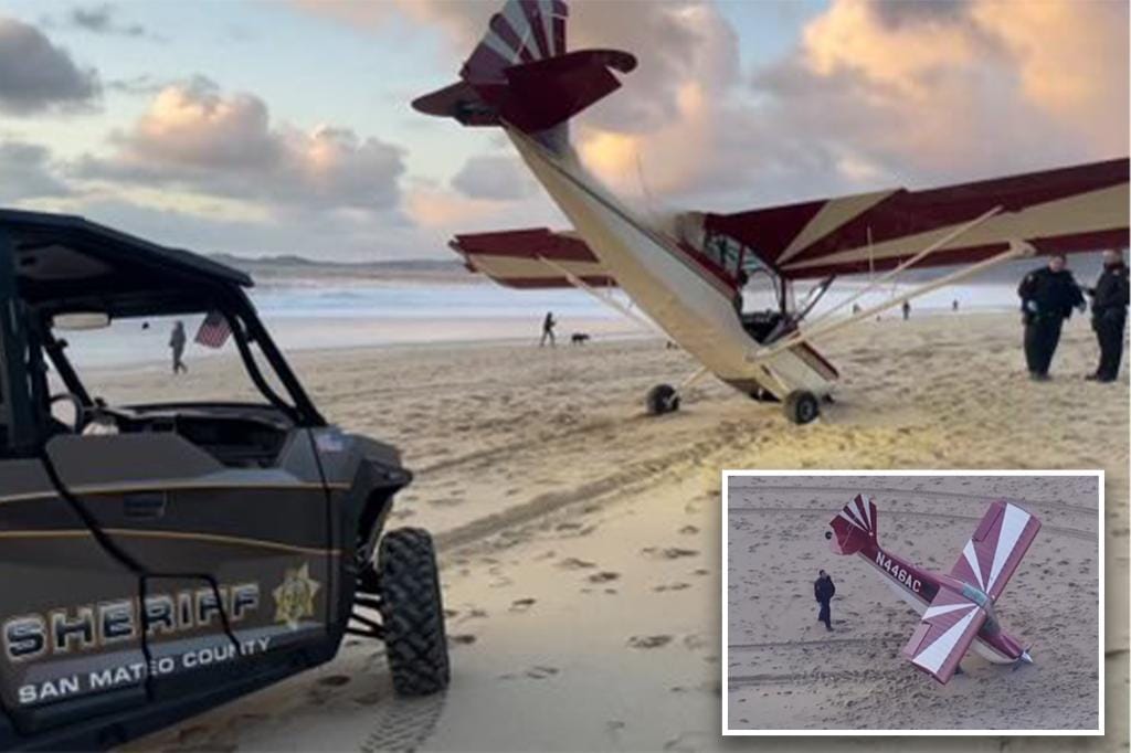 Alleged plane thief arrested after stolen plane crashes on California beach