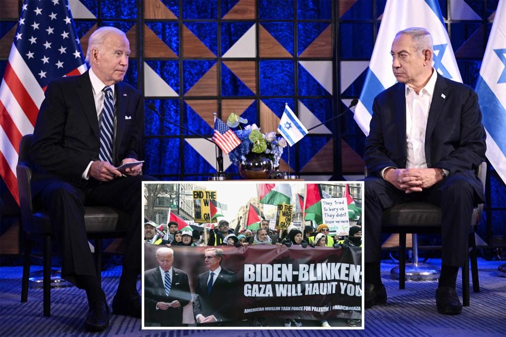 Biden called Netanyahu a 'damn guy' as support for Gaza war costs him voters: report