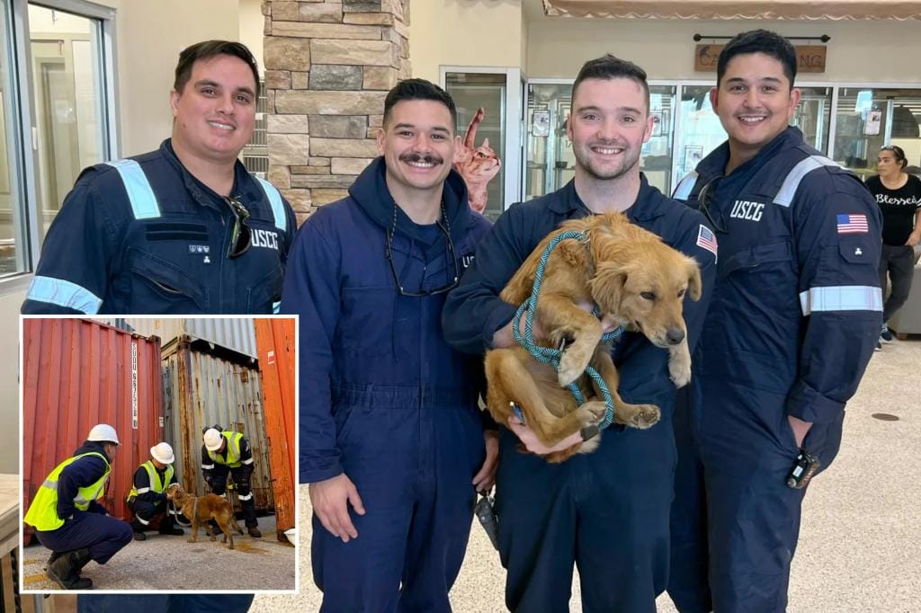 Dog rescued after more than a week trapped inside a container at the Texas port