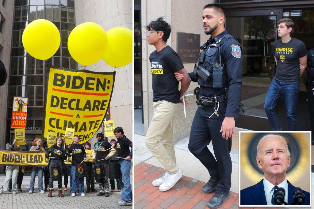 Dozens arrested for breaking into Biden campaign headquarters in Delaware as organizer warns 'young people won't support' president