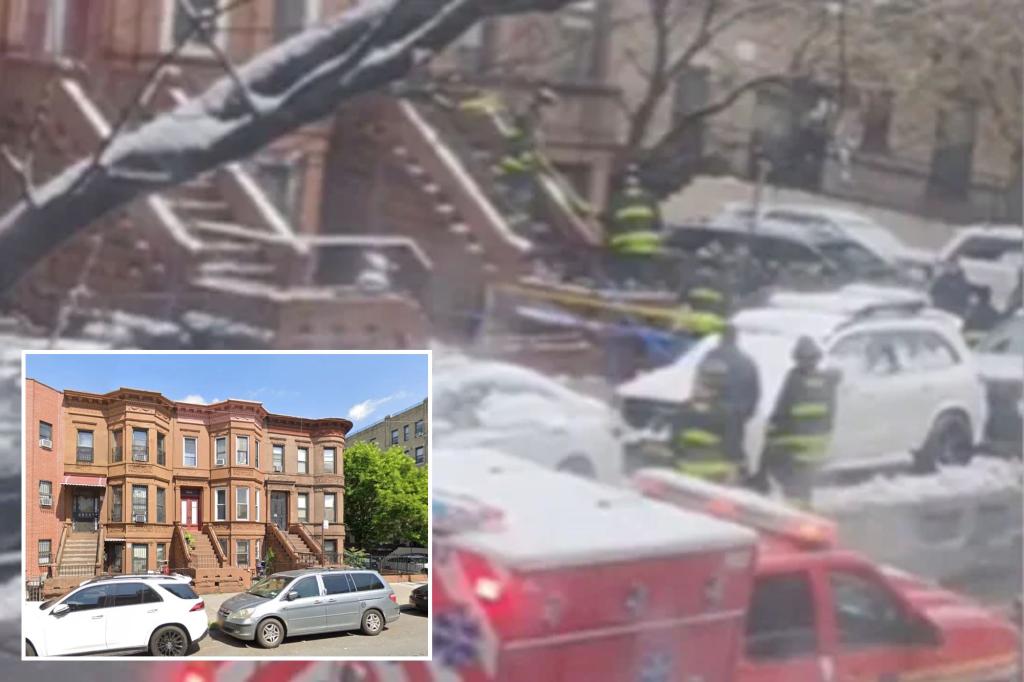Elderly New York woman dies when brick falls from ruined house: police