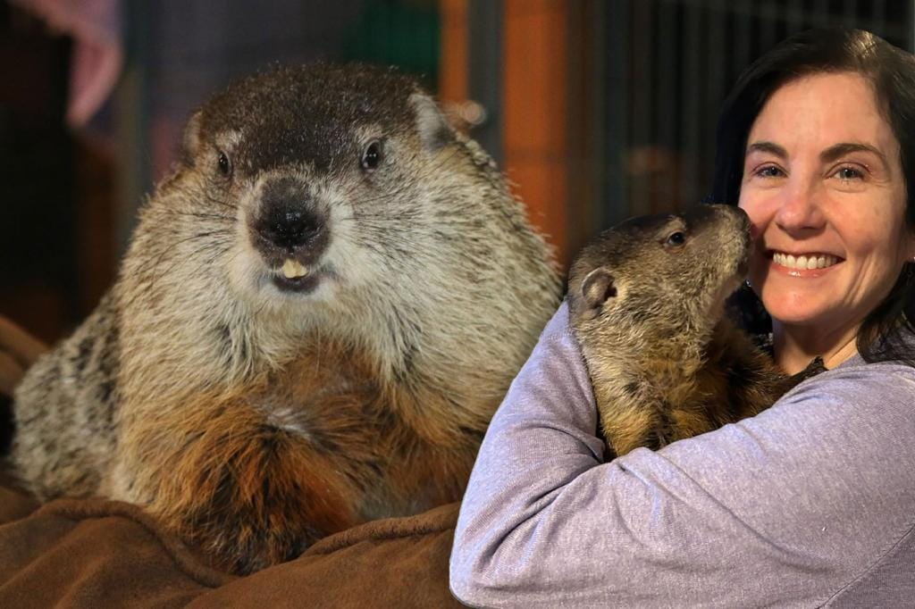 Kentucky groundhog dies on Groundhog Day after making early spring prediction