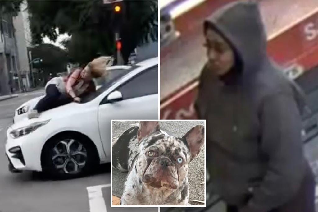 Los Angeles dog kidnapper caught after stealing French bulldog in terrifying scene that left owner clinging to car hood: cops
