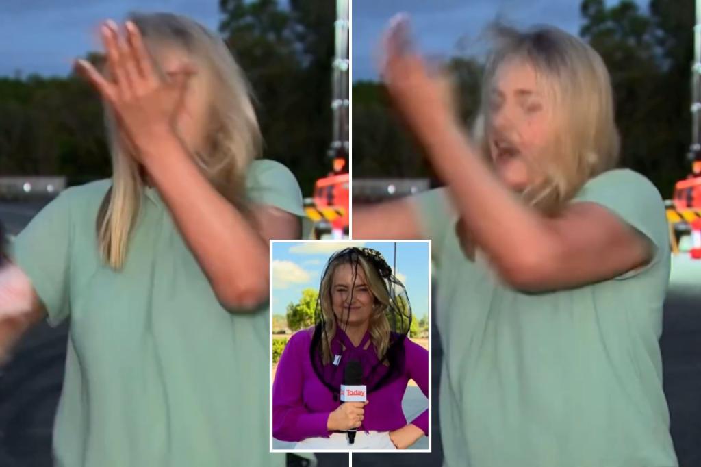 News reporter hilariously slaps herself after being attacked by pesky mosquito on live TV: 'All the fuss!'