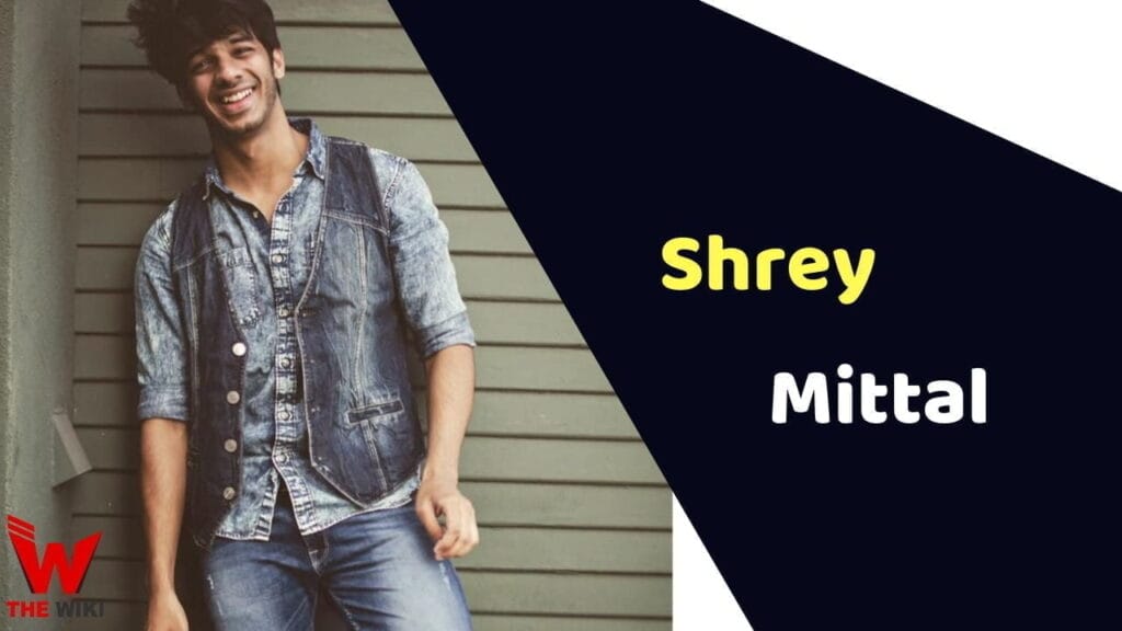 Shrey Mittal (MTV Splitsvilla) Height, Weight, Age, Affairs, Biography ...