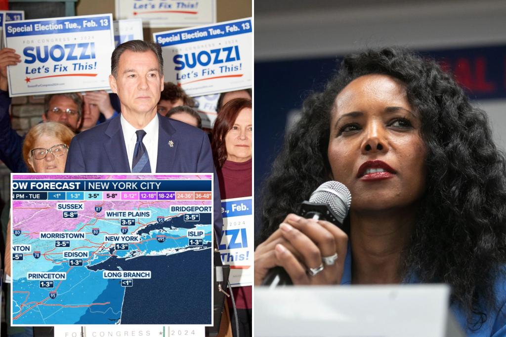 Snowstorm threatens turnout in special election for George Santos' New York House seat as Pilip and Suozzi make final push
