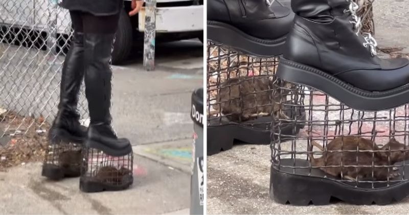 Videos of a woman wearing cage heels go viral
