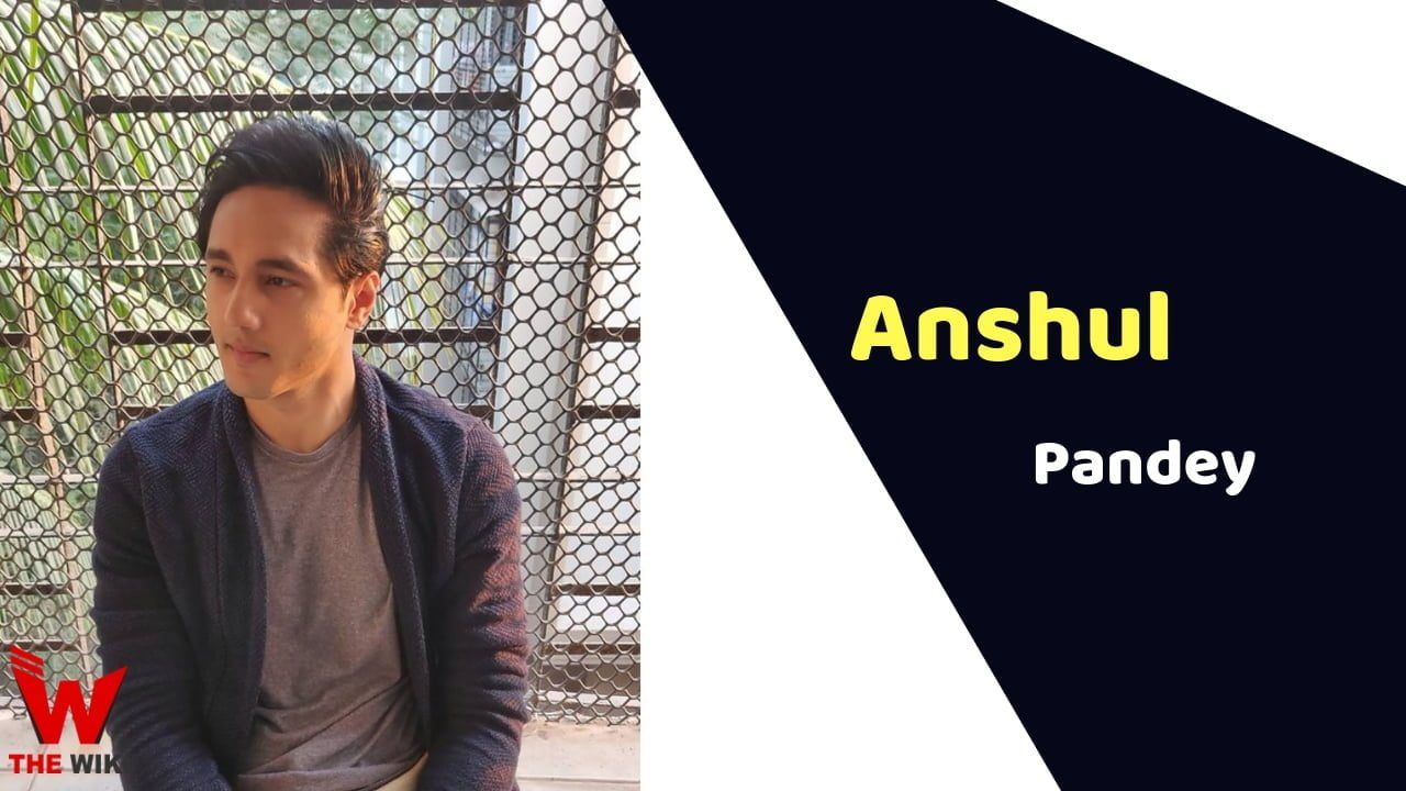 Anshul Pandey (Actor) Wiki Height, Weight, Age, Affairs, Biography & More